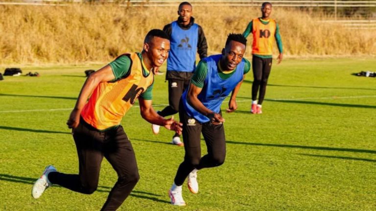 Bafana Bafana coach Broos concedes new call ups ‘make my job very difficult’