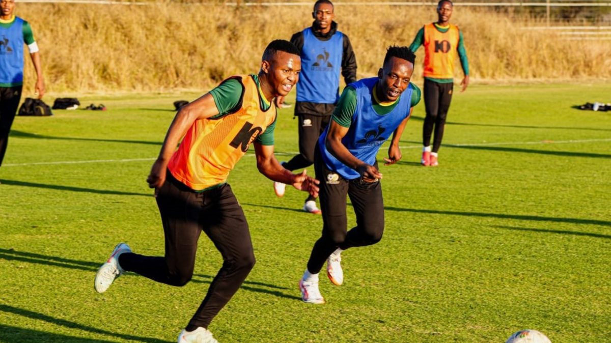 Broos ready for Bafana Bafana without Sundowns players – Some are 30 & older, we’ve to think about future’