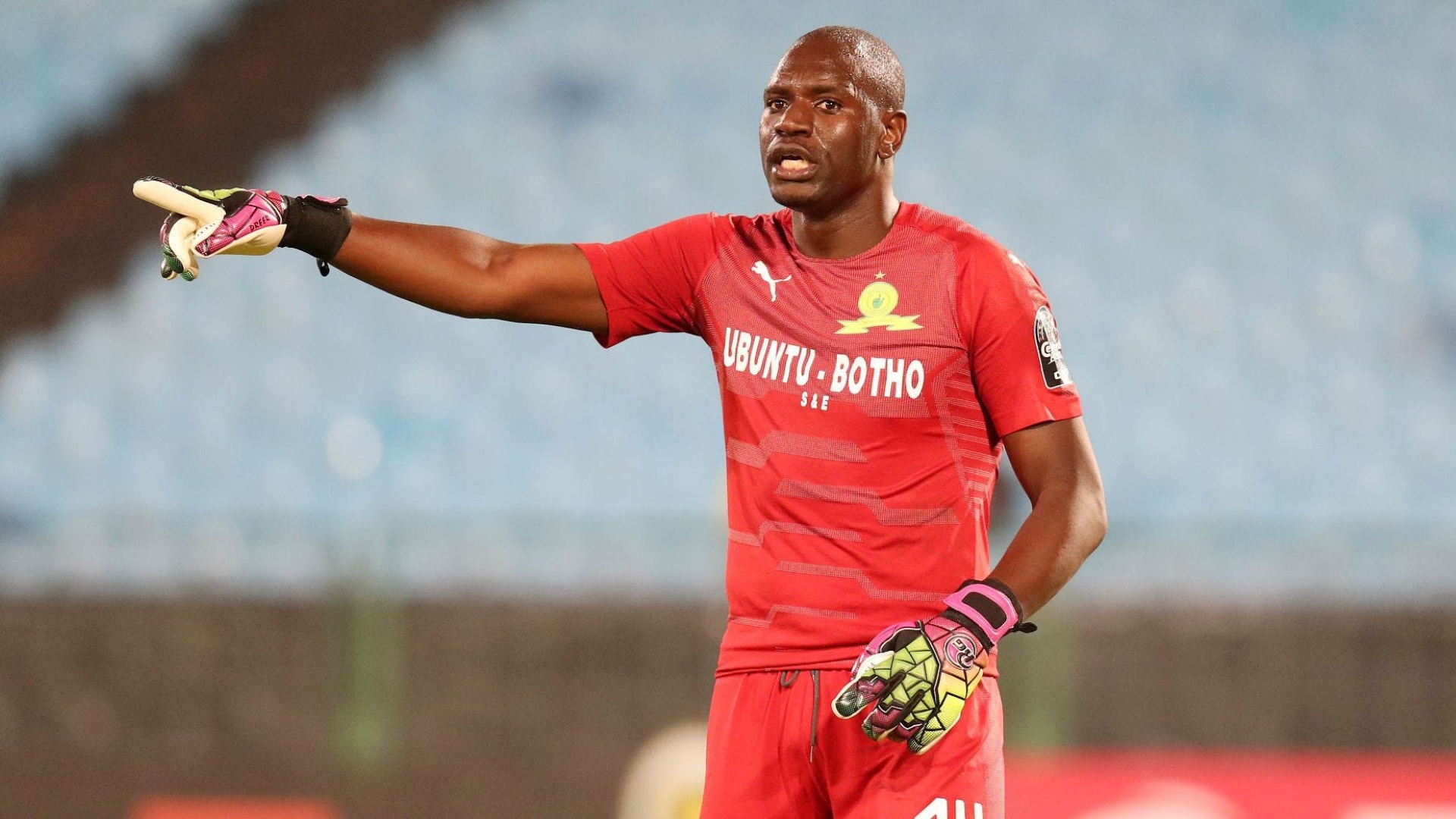 ‘Cardoso & Berg can’t be blamed here; snake is pregnant and moody but retired Khune is better than Onyango!