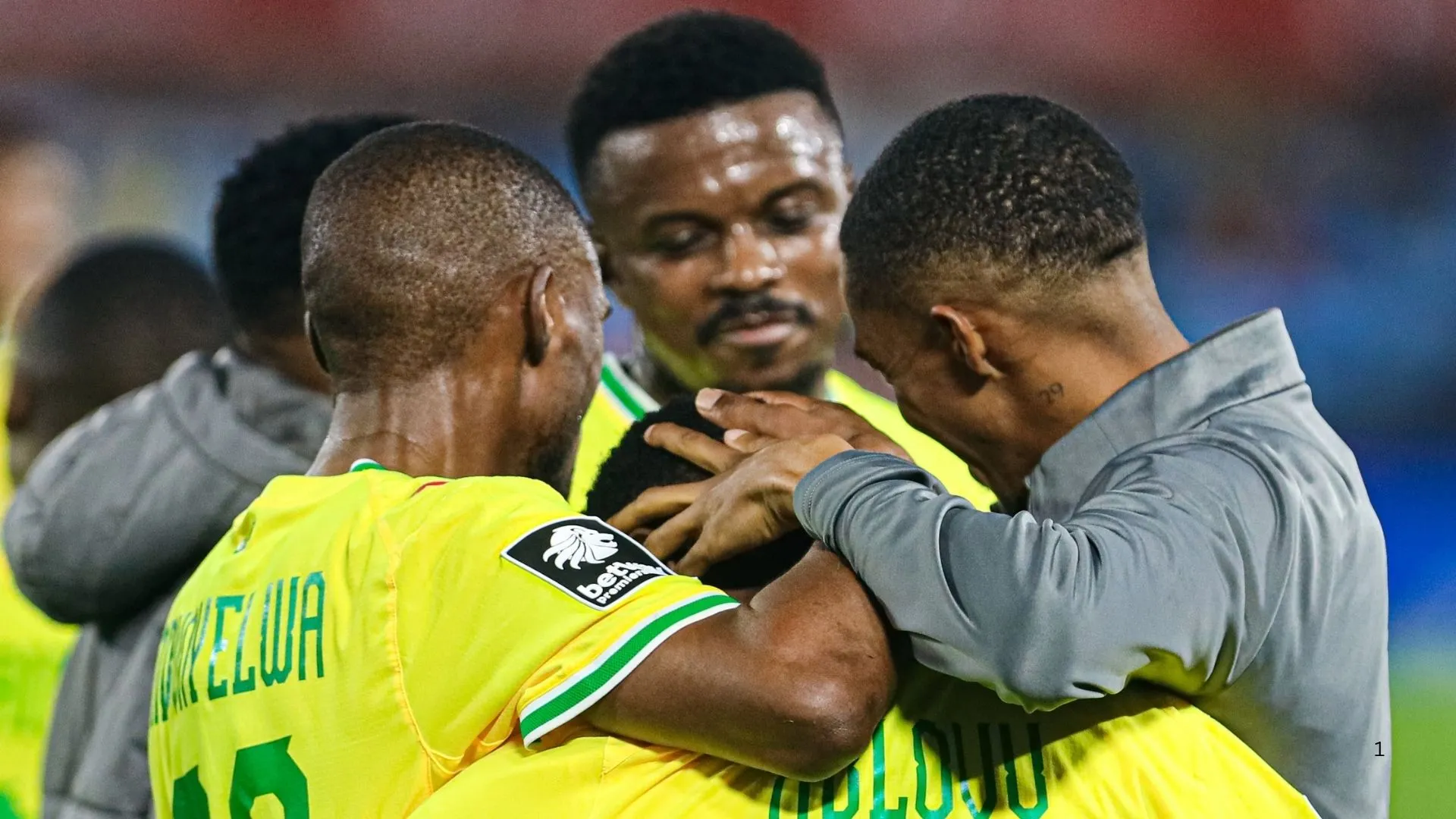 Mamelodi Sundowns players.