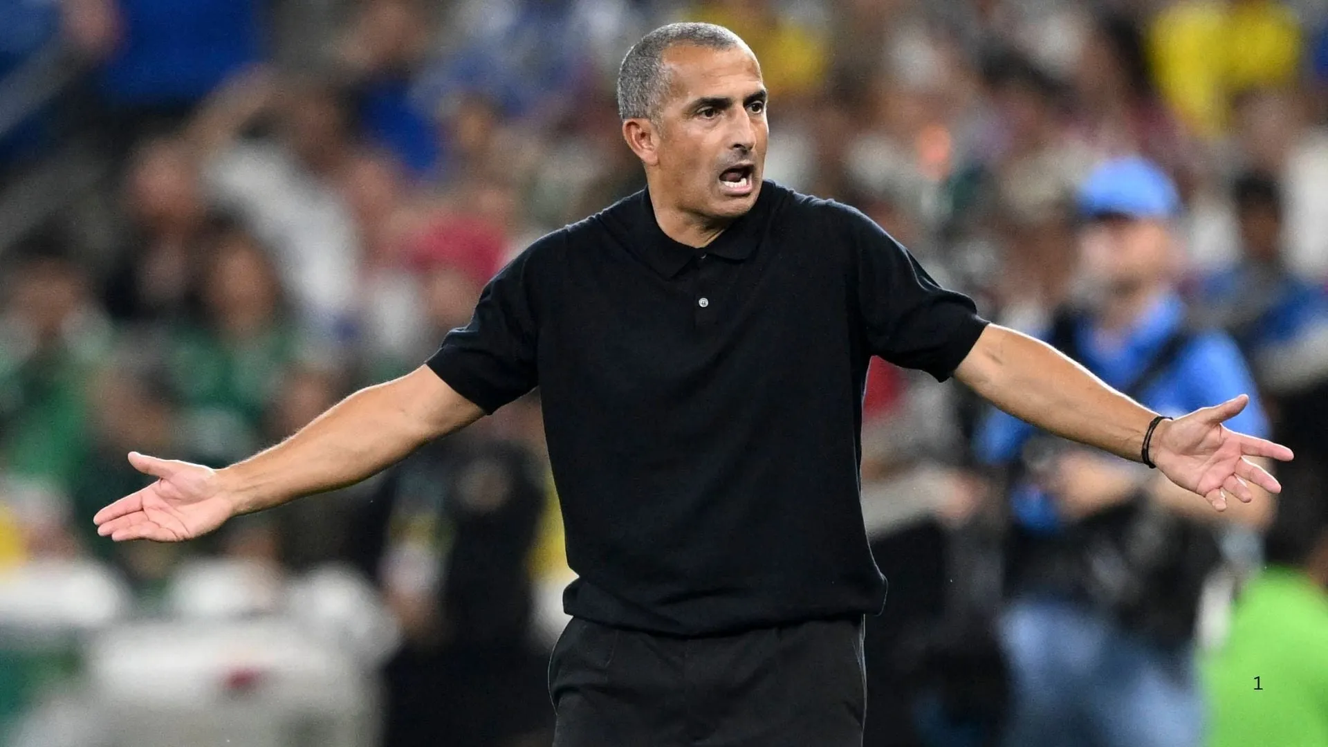 Sabri Lamouchi is reported to have lost his job as Tunisia coach.
