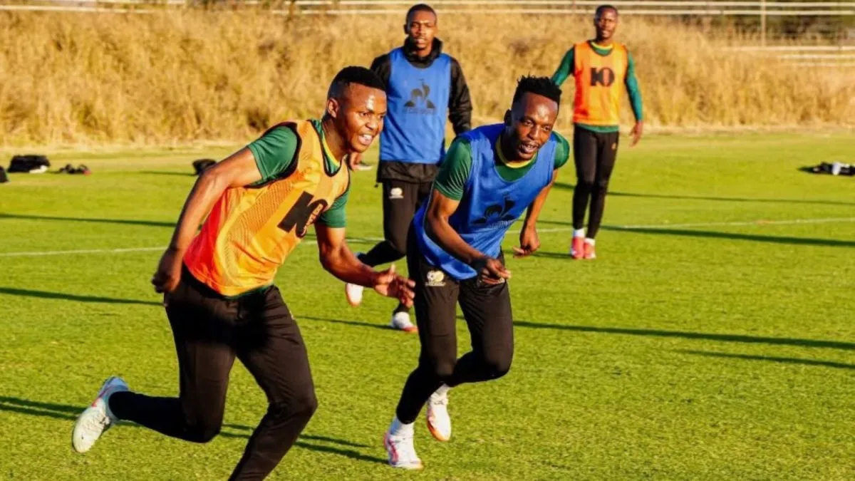 Bafana Bafana coach Broos concedes new call ups &lsquo;make my job very difficult&rsquo;