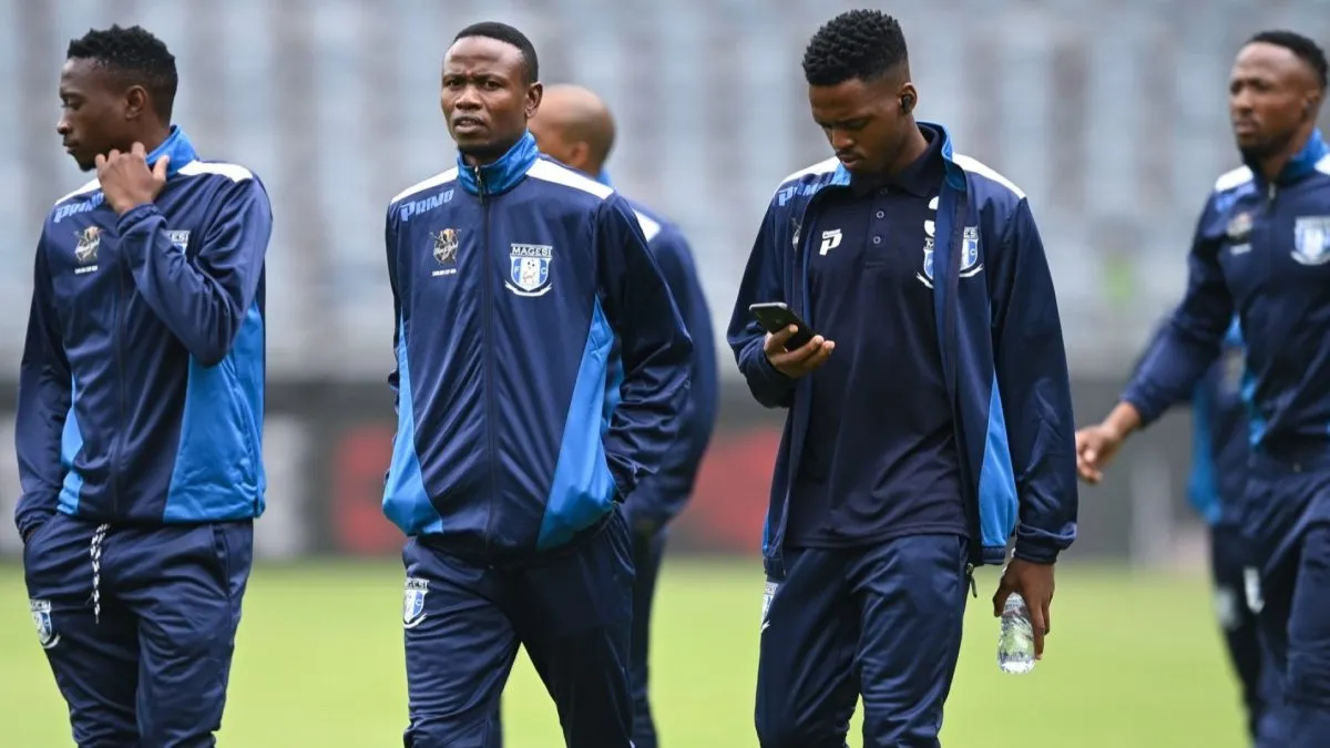 Revealed: The demoralizing CKO bonuses that might have killed Magesi