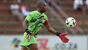 Ex-Chiefs star hails Elvis Chipezeze for answering Zimbabwe coach