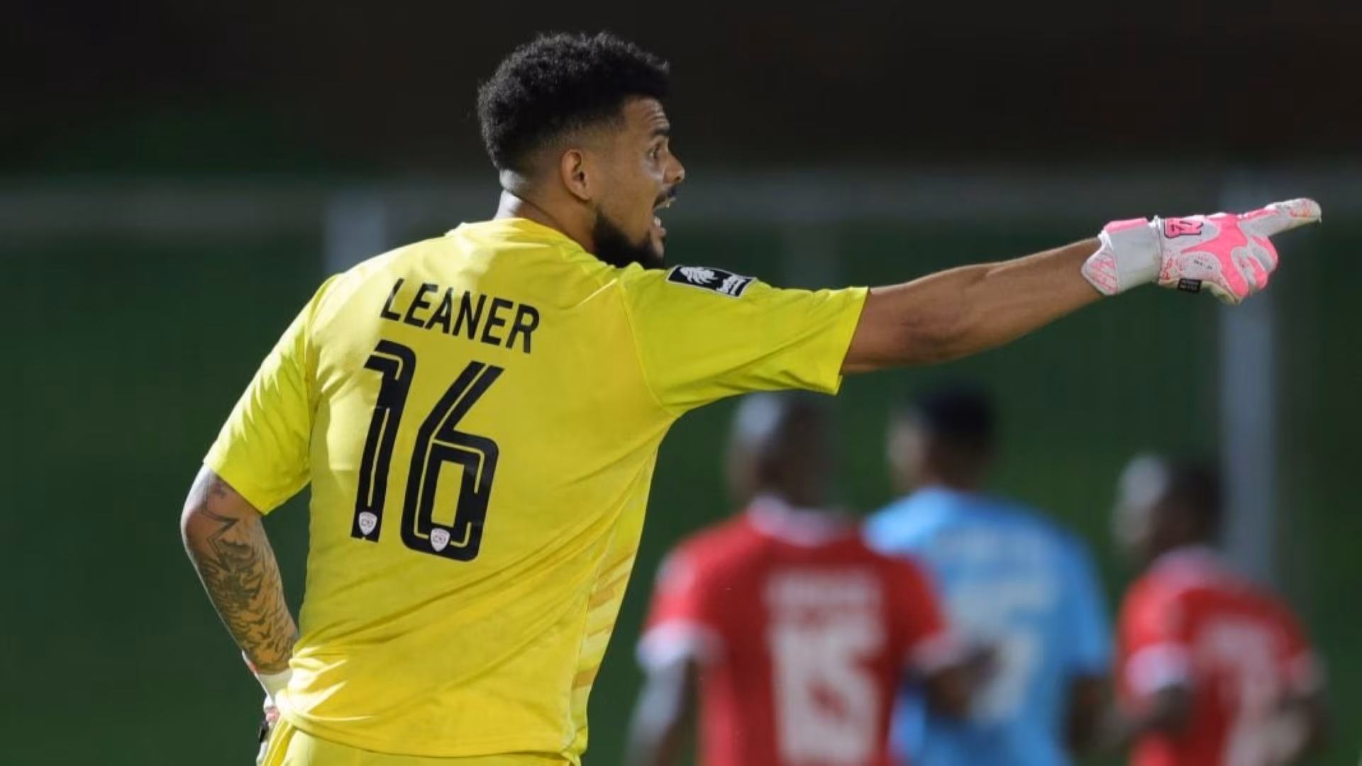 Renaldo Leaner, Sekhukhune United