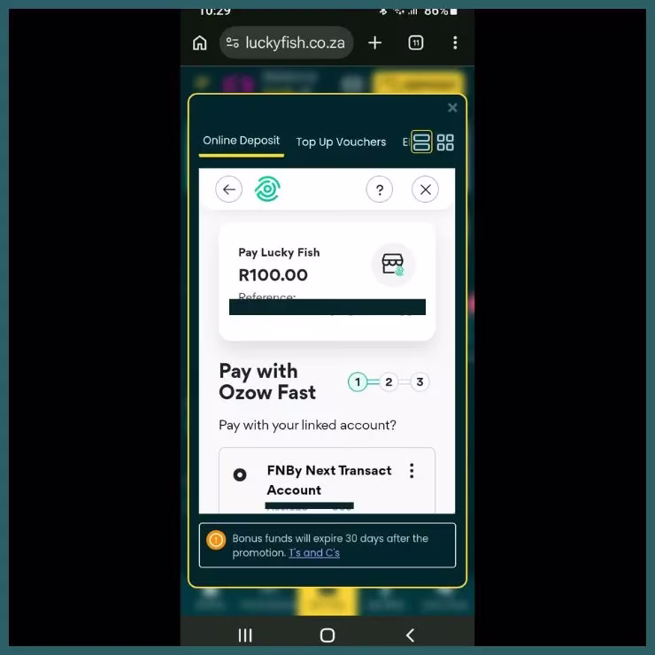 Screenshot of Ozow Instant EFT payment portal with R100 deposit for Lucky Fish sign up bonus.