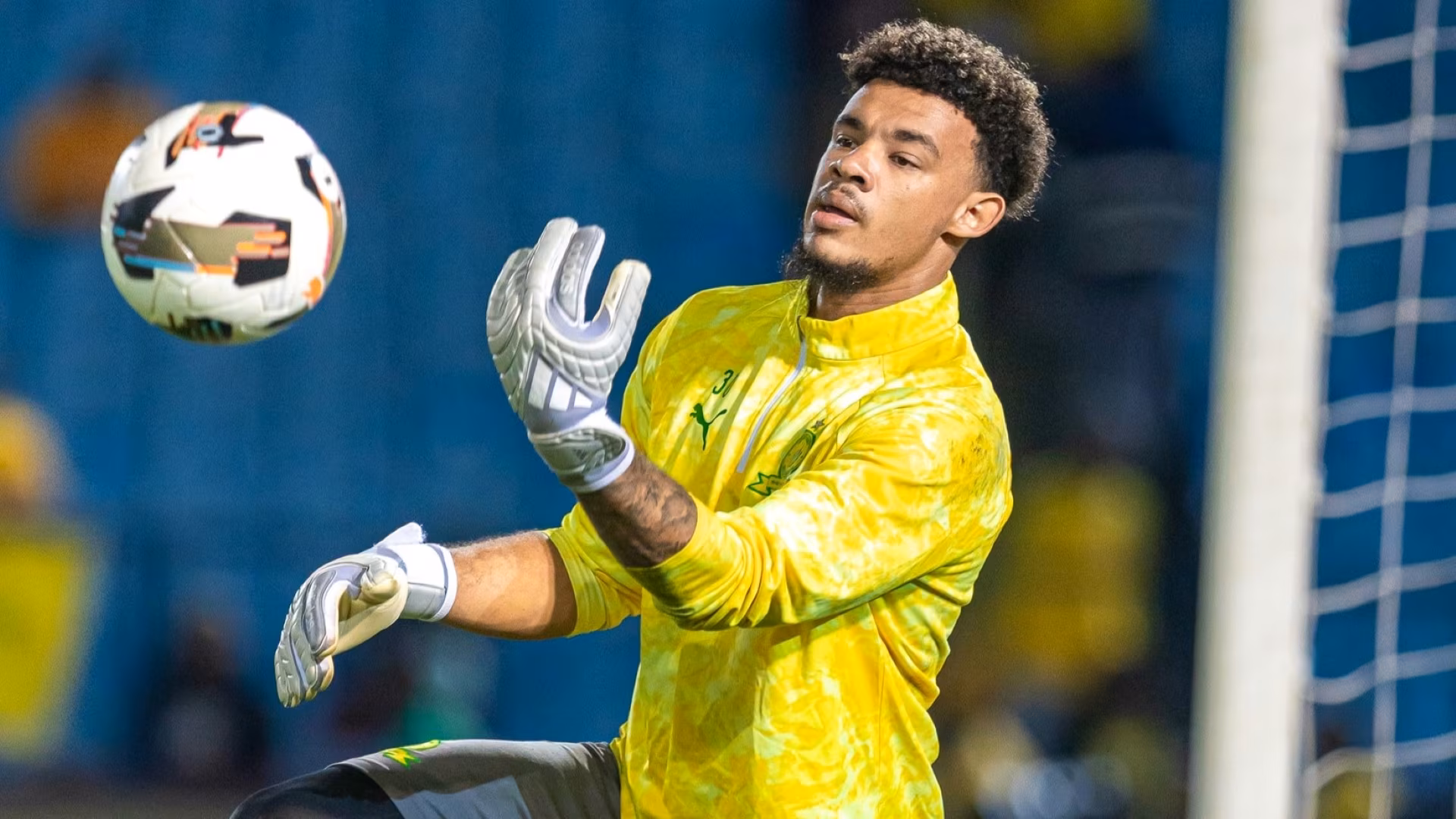 Ronwen Williams, Mamelodi Sundowns - Photo: Sundowns