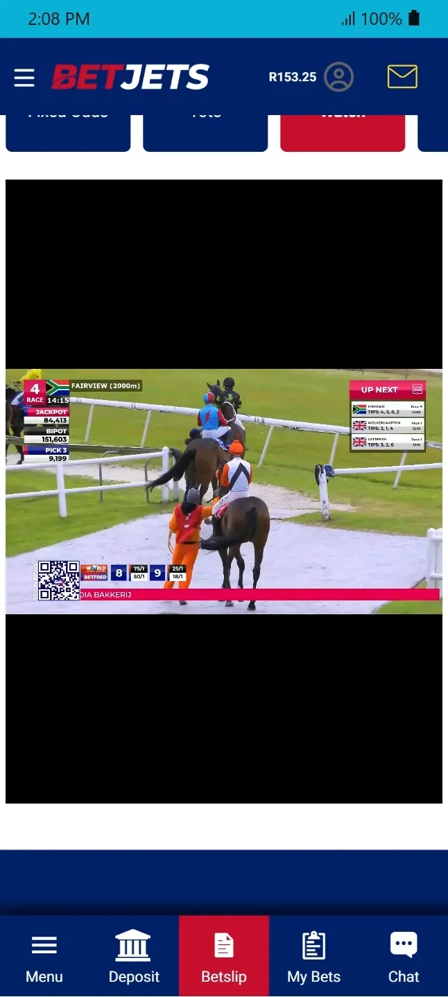 BetJets app horse racing stream showing Fairview race