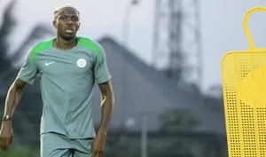 Osimhen Unavailable Advantage For Bafana? Broos Responds