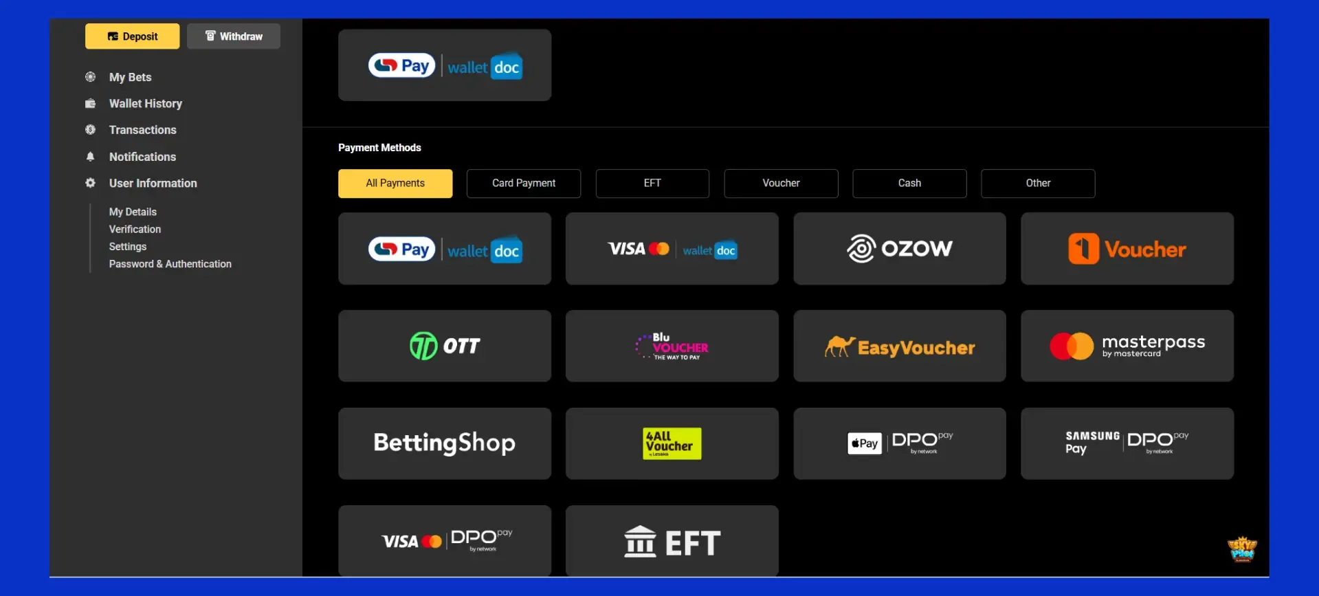 Betxchange Deposit Methods screenshot showing: WalletDoc, Ozow, DPO Pay, BettingSHop, 1, OTT & Blu Voucher, EasyVoucher 4All Voucher