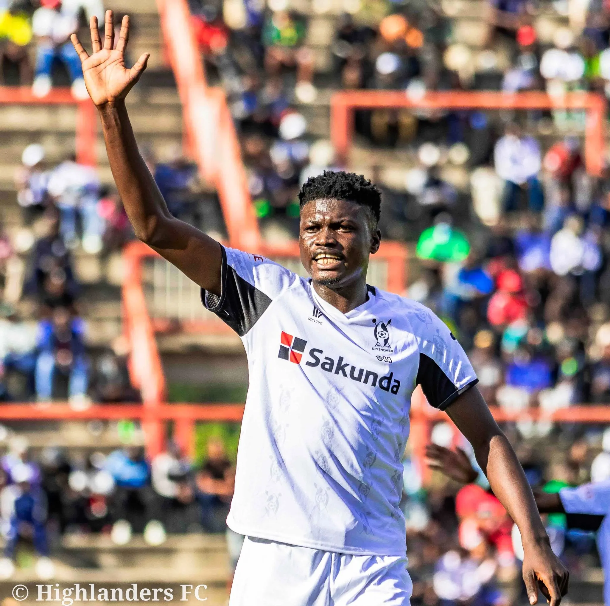 Mason Mushore at Highlanders