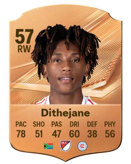 Puso Dithejane