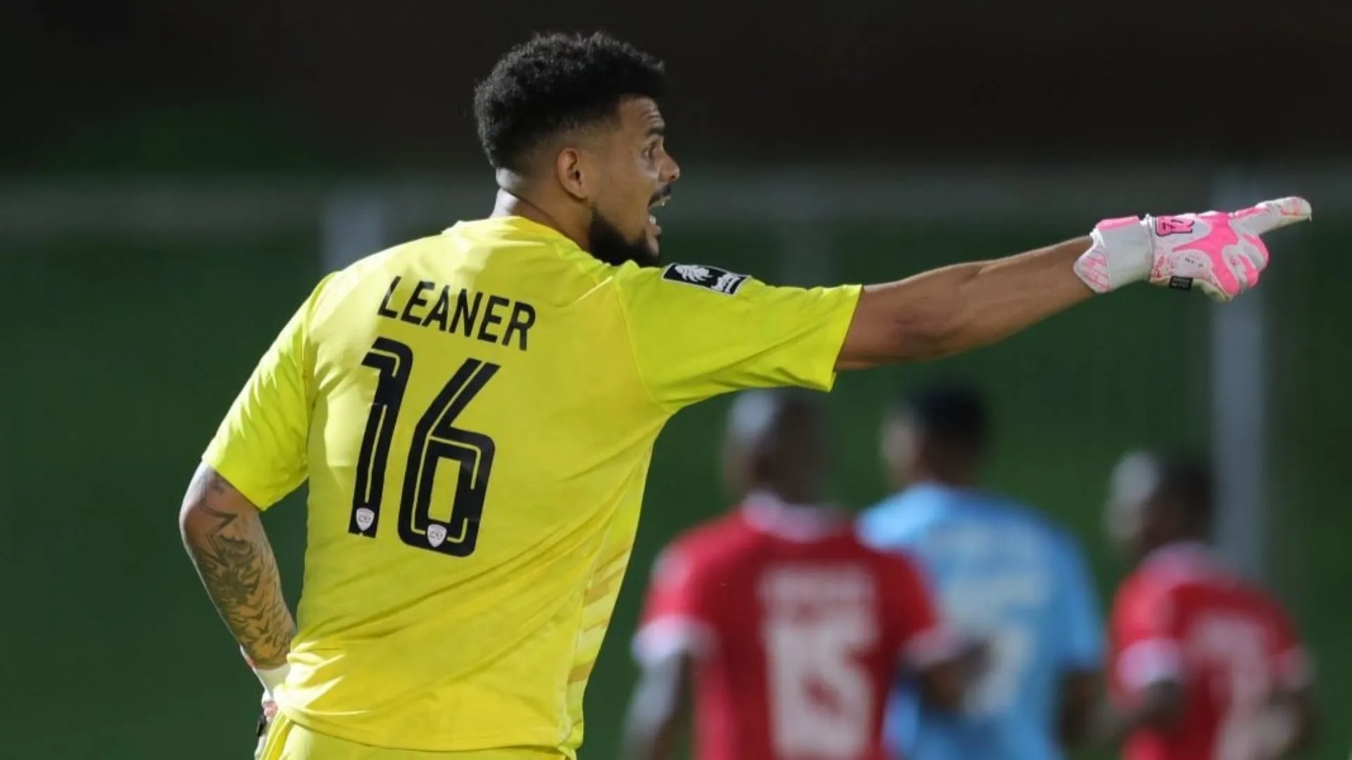 Renaldo Leaner, Sekhukhune United