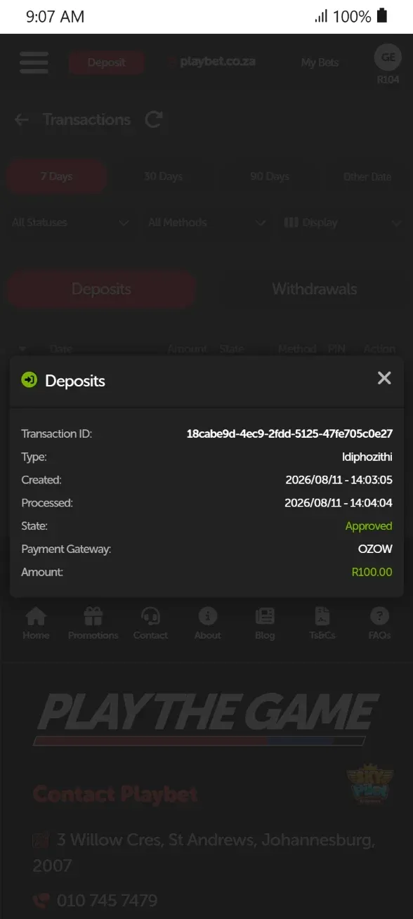 R100 Ozow deposit made for Playbet South Africa review