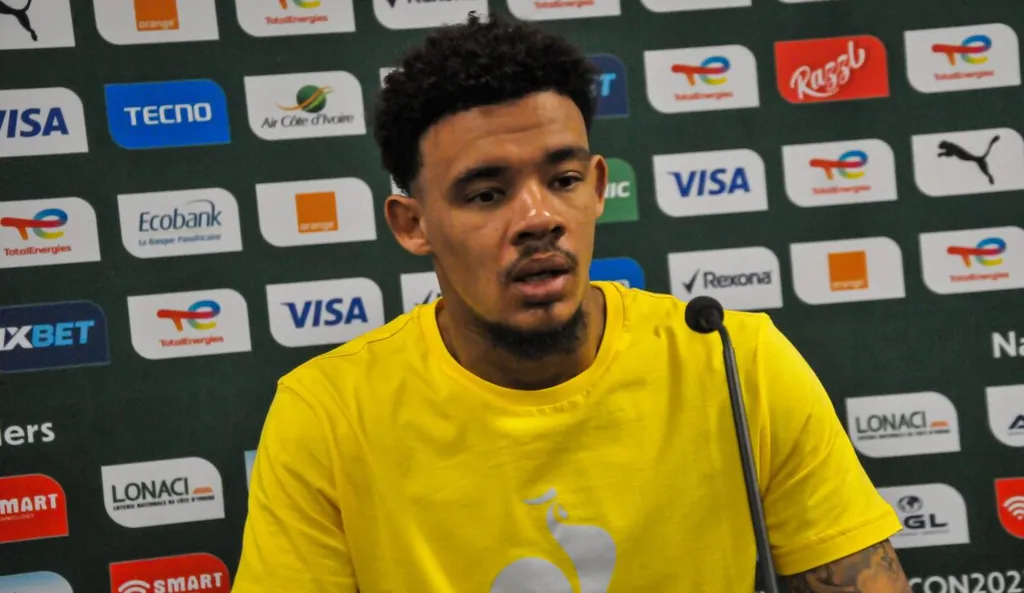 Williams weighs in on Veli Mothwa's Bafana blunder
