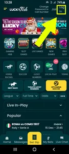 Lucky Fish App Log In