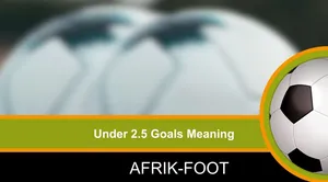 Afrik-Foot: South Africa Football News