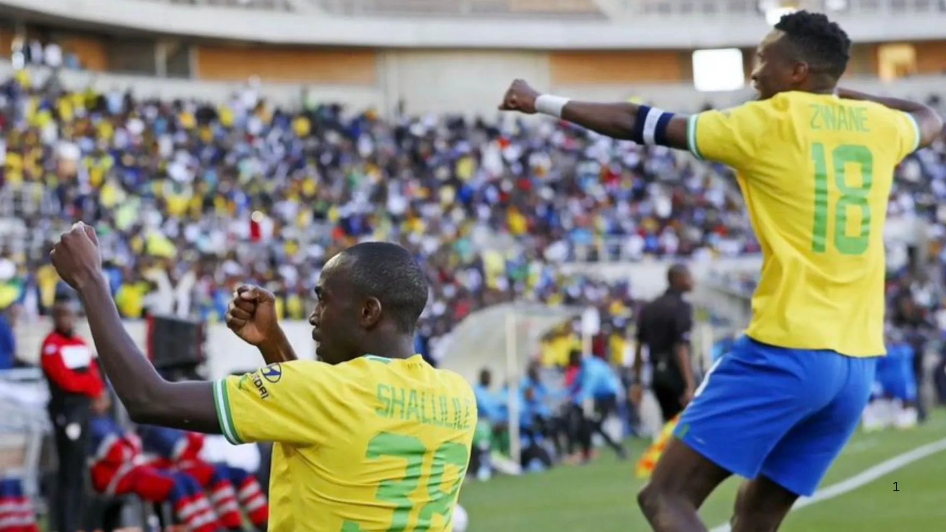 Peter Shalulile and Themba Zwane celebrate.