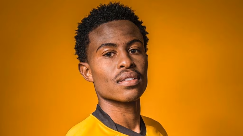 Happy Mashiane, Kaizer Chiefs
