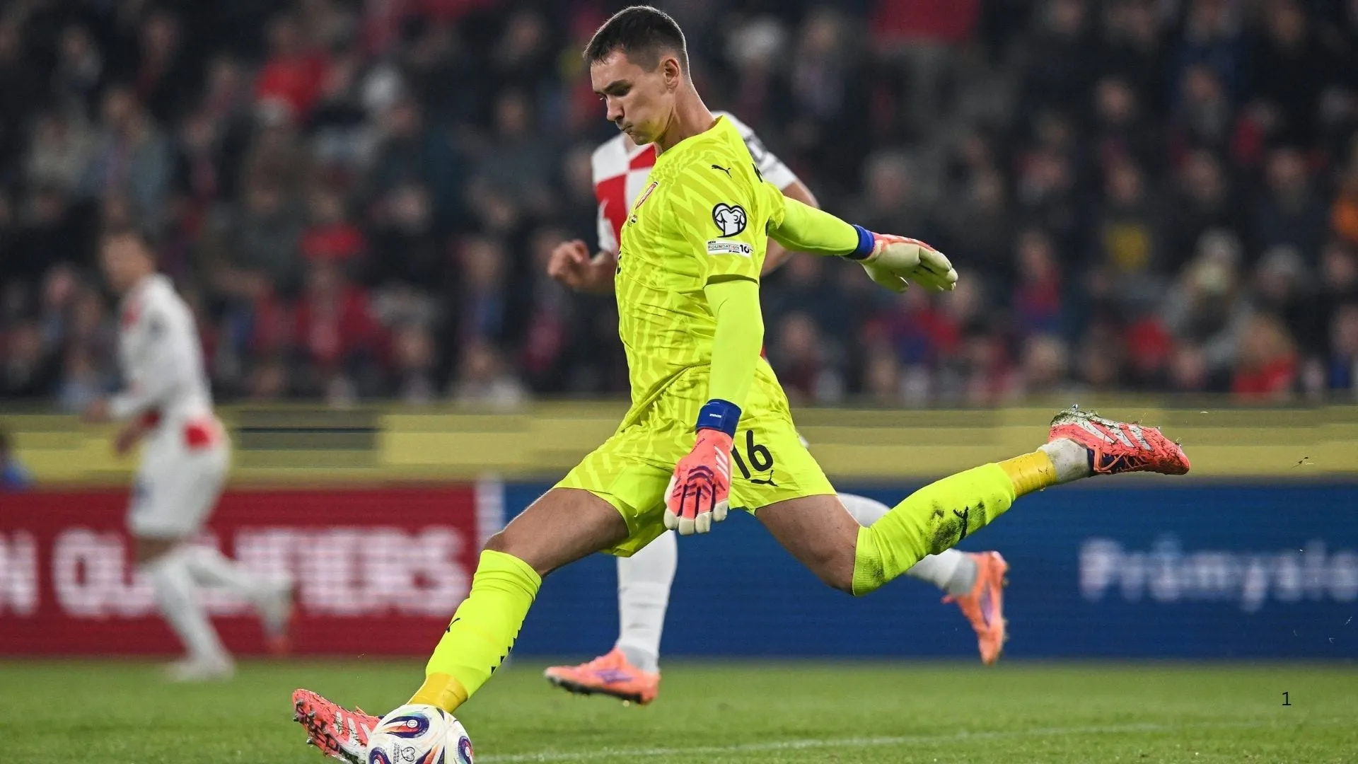 Czech goalkeeper Matej Kovar was in fine form against South Korea.
