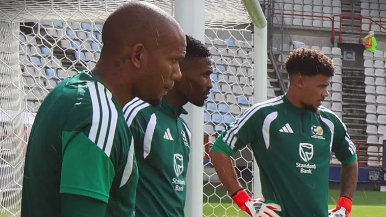 &lsquo;Bafana Bafana will be humiliated at World Cup; Broos benefited from Mokwena! laughing stock to some Chiefs fans&rsquo;
