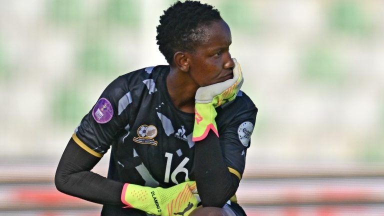 ‘Dlamini was catching shadows, Nigerian juju was very strong! SAFA is a curse’