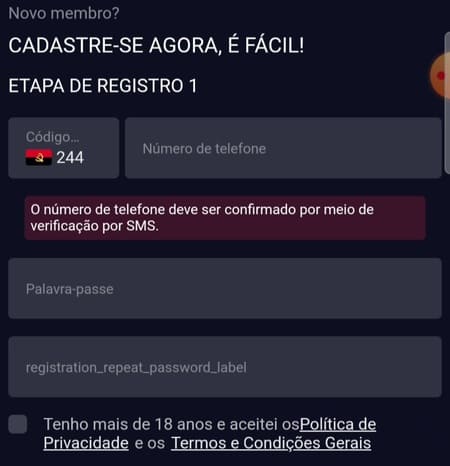 Passo 2 no registro