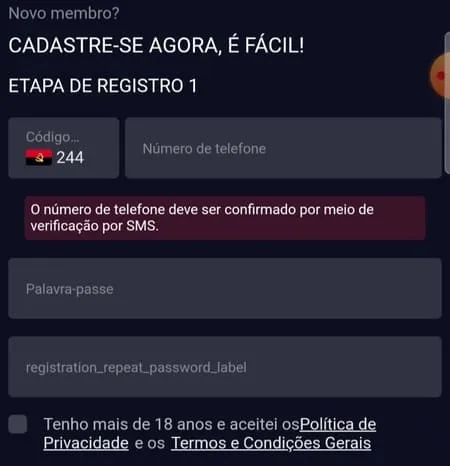 Passo 2 no registro
