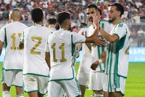 Un Fennec attendu au Panathinaikos