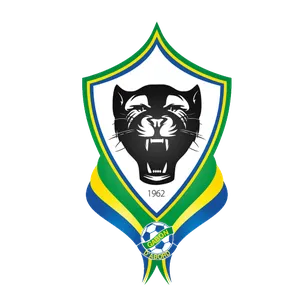 Gabon : 82 candidats pour le poste de sélectionneur !