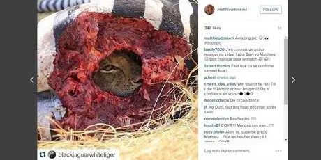 Standard : Dossevi pas inqui&eacute;t&eacute; pour sa photo pol&eacute;mique