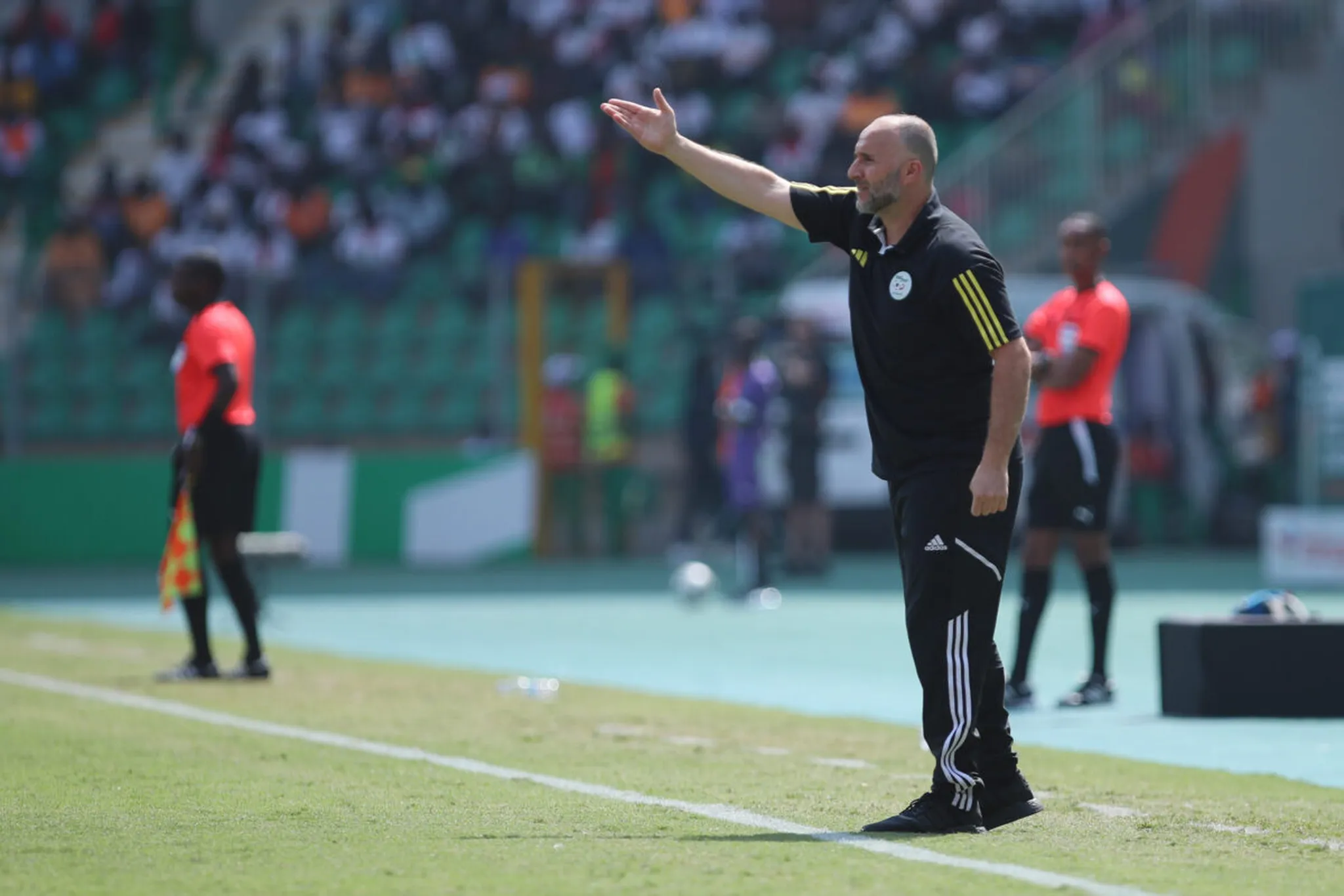 Alg&eacute;rie : Belmadi peste apr&egrave;s l&rsquo;arbitrage