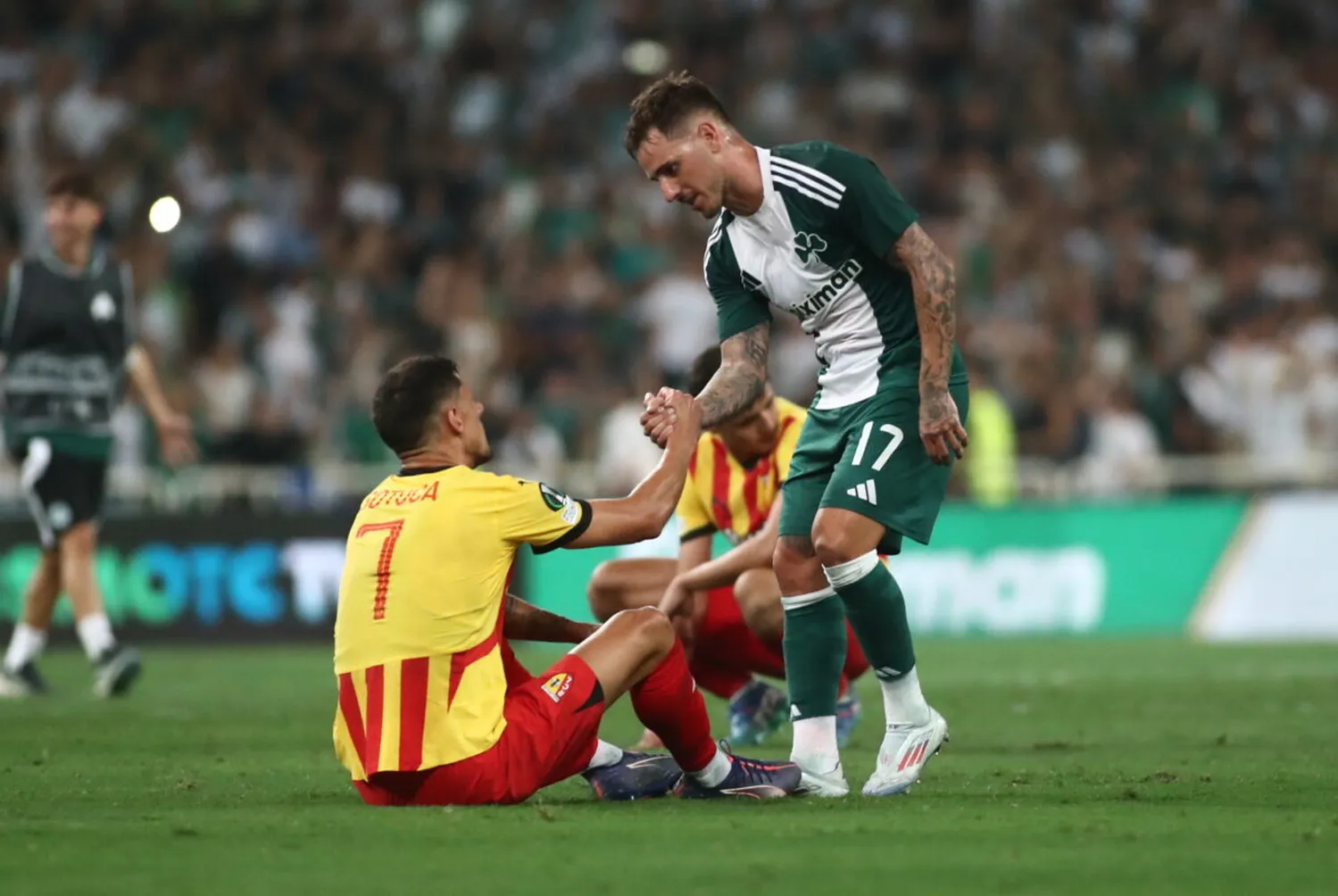 ICONSPORT 237987 0034