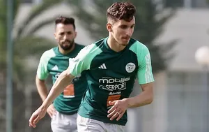 Algérie : CAN ou Coupe Arabe, Petkovic et Bougherra ont tranché pour Boulbina