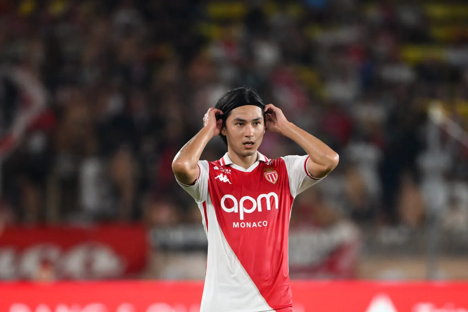 ICONSPORT 237199 0229