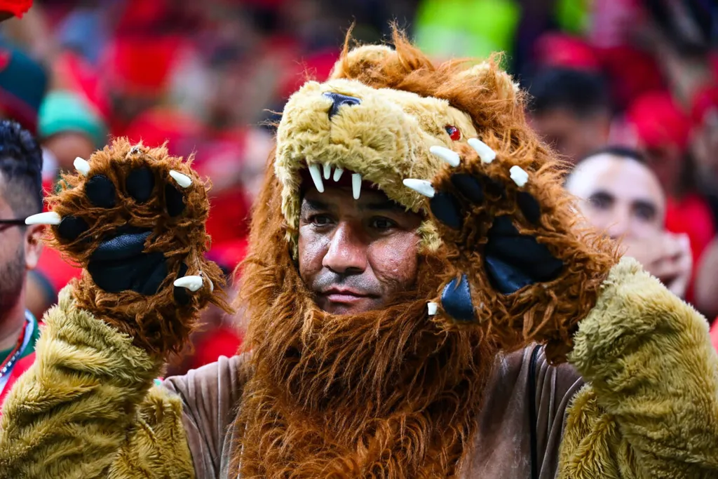 Maroc, supporters lion