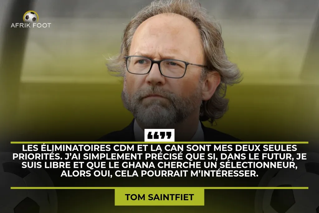 Tom Saintfiet, s&eacute;lectionneur Mali