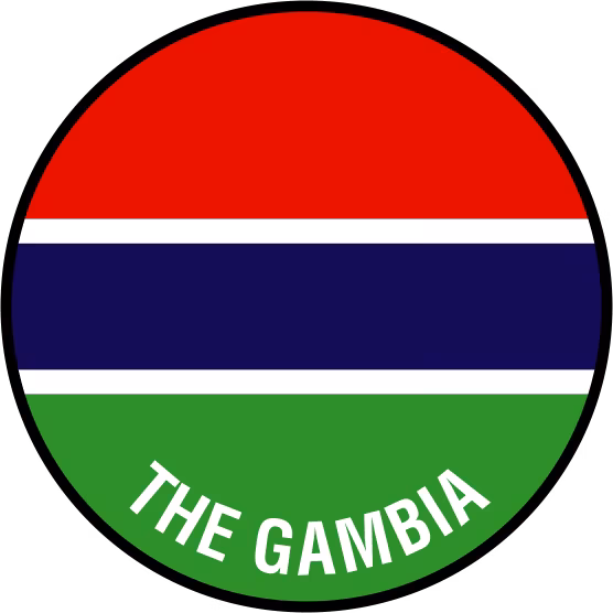 Gambie : La FIFA ouvre la voie au Mondial 2014