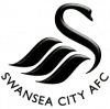 Swansea : Ayew brille&hellip; en vain