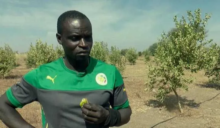 Sénégal : un héros de l’épopée 2002 menace de renoncer à sa nationalité !