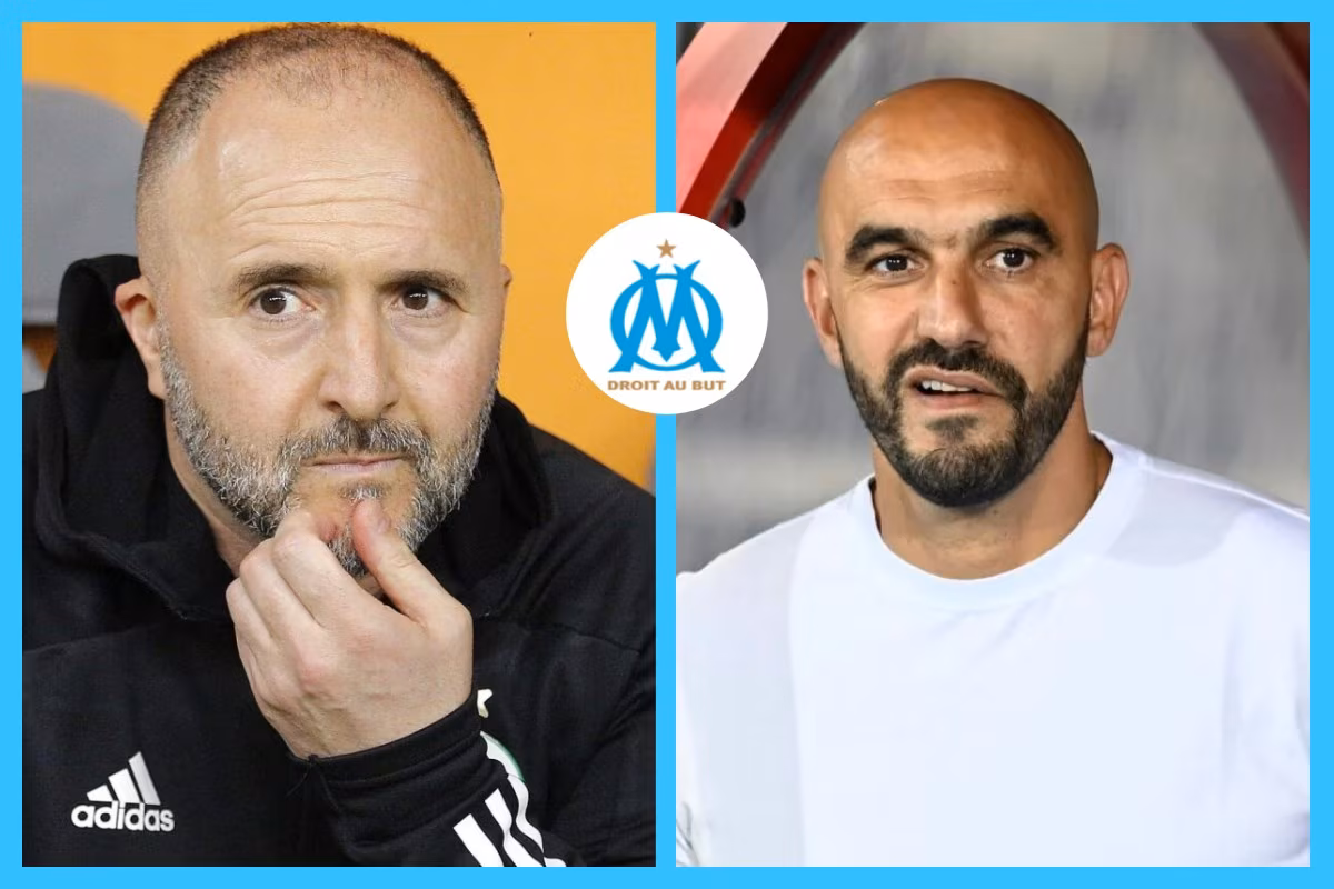 OM : l&rsquo;&eacute;ternelle rumeur Djamel Belmadi bient&ocirc;t &eacute;clips&eacute;e par&hellip; Walid Regragui ?