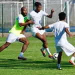 Cameroun : Marc Brys floué par la Fecafoot ?