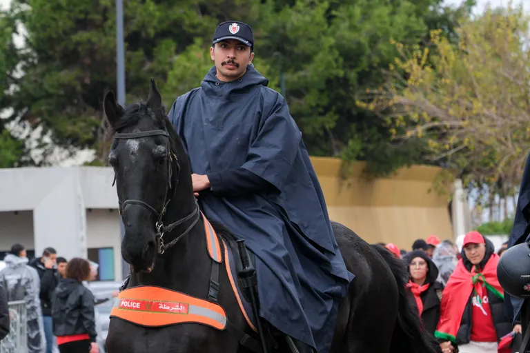 CAN 2025 : la police marocaine arr&ecirc;te 8 personnes pour revente de billets et &ldquo;sp&eacute;culation ill&eacute;gale&rdquo;