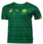CM 2014 : le Cameroun habill&eacute; pour le Br&eacute;sil