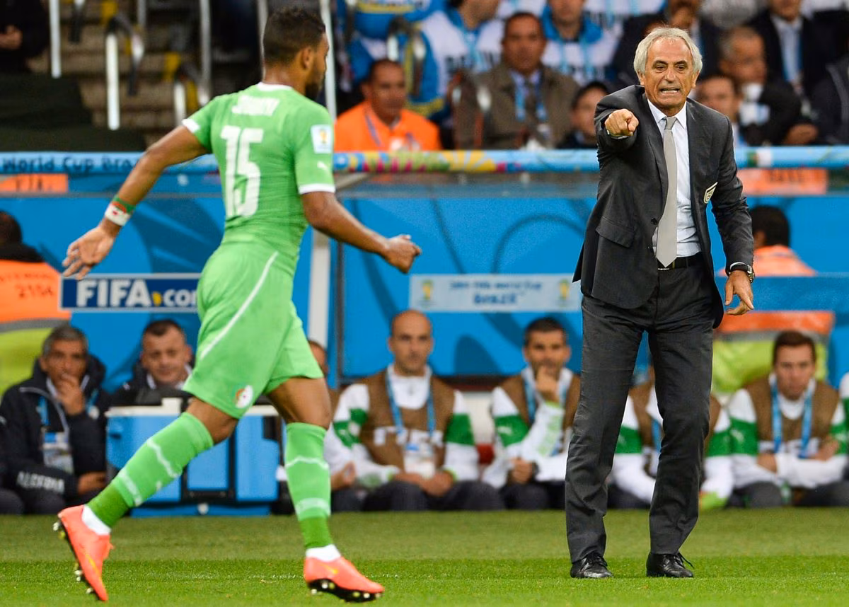 Alg&eacute;rie : &ldquo;on aurait gagn&eacute;&hellip;&rdquo;, le regret de Vahid avec l&rsquo;&eacute;quipe de France