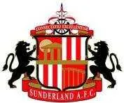 Sunderland: Gyan tout proche d’Al Ain