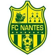 FC Nantes&nbsp;: Reprise compliqu&eacute;e pour I. Bangoura