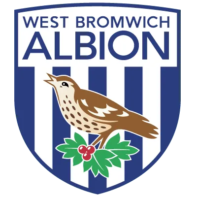 West Bromwich : Odenwingie sur le d&eacute;part ?