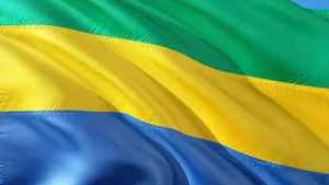 Gabon : Gernot Rohr sélectionneur