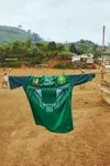 Cameroun : MHD et Puma vous pr&eacute;sentent le nouveau maillot des Lions Indomptables